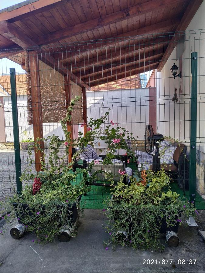 Apartman Tia Ossero Esterno foto